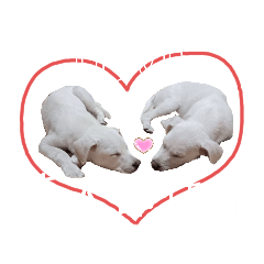 悠閒の窩