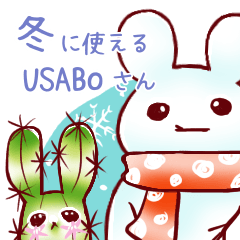 Cactus rabbit USABOsan (winter)