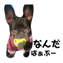 mizuki_20201229181732