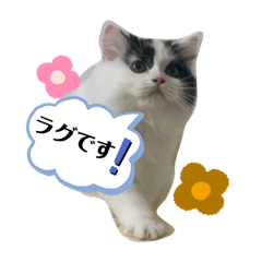 Ayumi_20201229190915