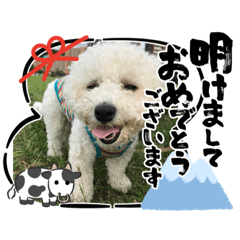 Natsumi_20201229204952