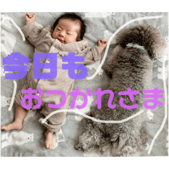 ayumi_20201230000651