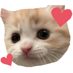 hikari_20201230004055