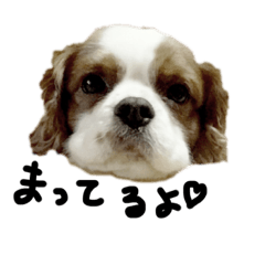 junko_20201229210307