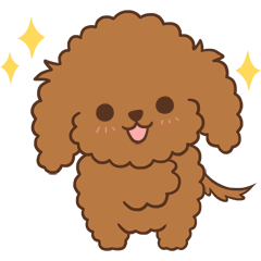 Toy Poodle Choco ( Animated )