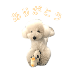 Mochi_20201229221911