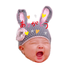 koko_20201229225027