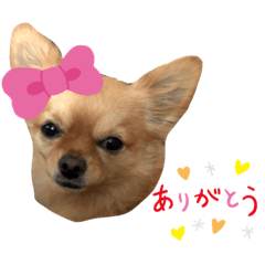 mizuki_20201229224024