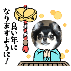 king_20201230102910