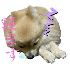 koooto_20201229202753