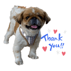 Kaito_20201229203825