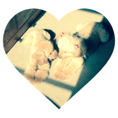 Hikari_20201230004619