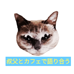 茶柱カフェ Lineクリエイターズスタンプ Stamplist 茶柱カフェ Lineクリエイターズスタンプ Stamplist