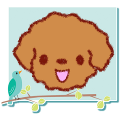 Crayon's toy poodle