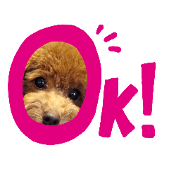 mocomocochankuishibo