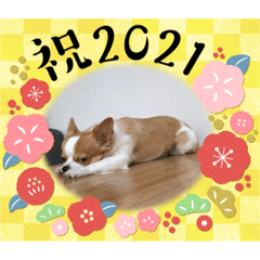 KEN_20201230125855