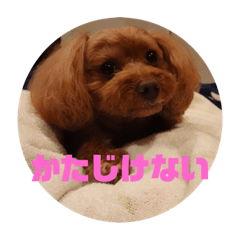 Taichi_20201229231928
