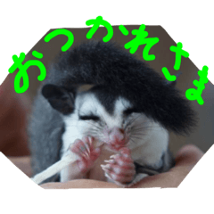 natsumi_20201230005654