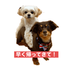 kayo_20201230133842