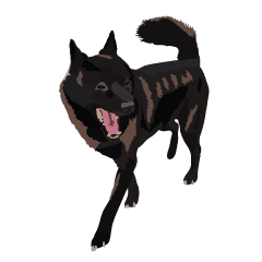 甲斐犬 黒多め Line スタンプ Line Store