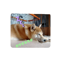 Hana_20201230133251