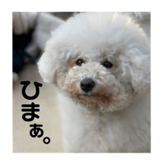 CREAM_20201230160401