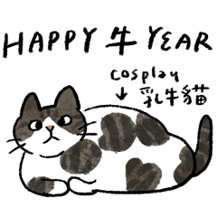 Comedian Tabby & Happy new year