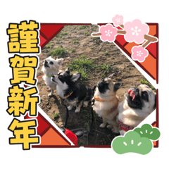 yukari_20201230210127