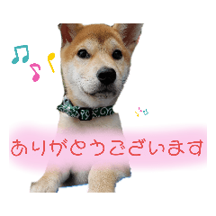 Hana_20201230232940