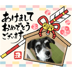 Ayumi_20201231003504