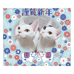 Chihiro_20201231014038