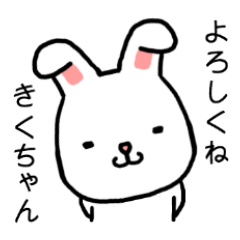 Kikuchan rabbit