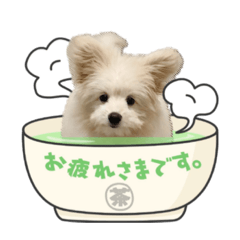 cherry_20201230185423