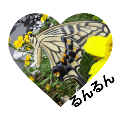 kaito_20201231110036