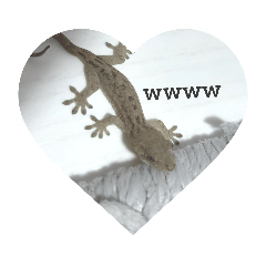 kaito_20201231110647