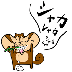 Cheek Squirrel