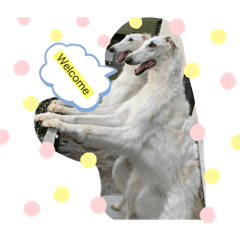 Nozomi_20201230184001