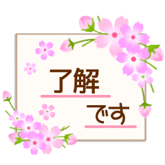 Cherry blossoms message