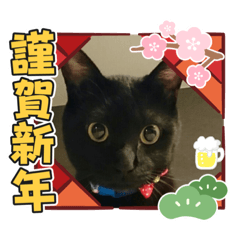 happyhiro_20201231130008