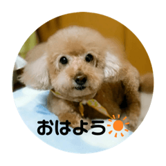 CREAM_20201231125722