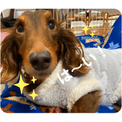 saori_20201231133856