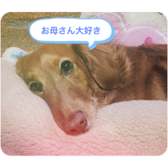 hiyori_20201231144339