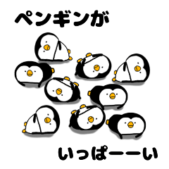 many many Penguin