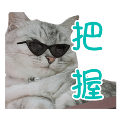 Ringo_20201231153926