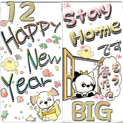 【Big】シーズー犬12『新年』