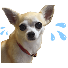 mizuki_20201231152045