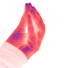 Hand Gesture [1]
