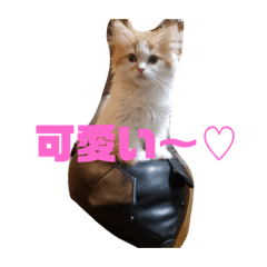 yuina_20201231162311