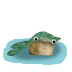 thefrog