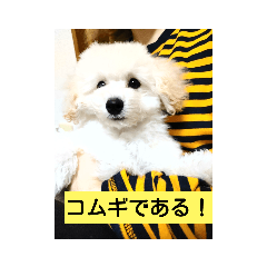 jackie_20201231180804